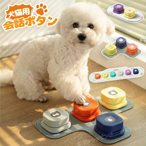 y[! oׁz R~jP[V {^ ybg R~jP[V{^  ^{^ b{^ ybgp p Ppi g[jOuU[ mߋwK V 