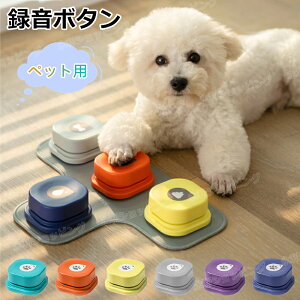 y[! oׁzR~jP[V {^ ybg R~jP[V{^  ^{^ b{^ ybgp p Ppi g[jOuU[ mߋ wK V 