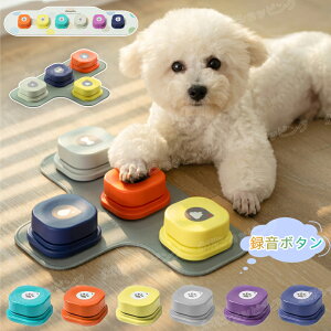 y[! zzR~jP[V {^ ybg R~jP[V{^  ^{^ b{^ ybgp p Ppi g[jOuU[ mߋ wK V 