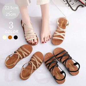 yzT_ nx-013 fB[X 22.5cm-25cm 3color Xgbv lC ăV[Y ؂ tbg C _炩 ɂȂ ₷   傫TCY TCY r