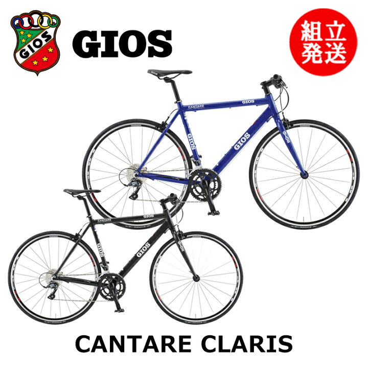 楽天市場】【2024年モデル】GIOS （ジオス） CANTARE（カンターレ 