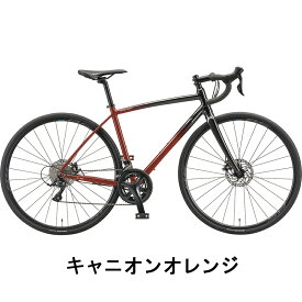 【在庫セール！】ANCHOR/アンカー RL6D SORA｜上位モデル設計×安心のSHIMANOパーツ カーボンフォーク＆ディスク仕様のエントリーロード 2025年モデル