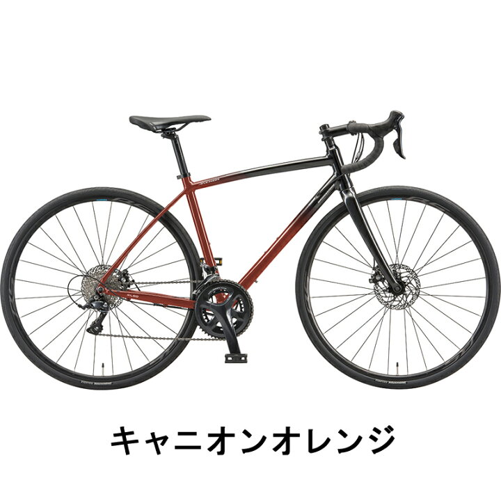 楽天市場】【2025年モデル】ANCHOR（アンカー） RL6D SORA 【プロの 