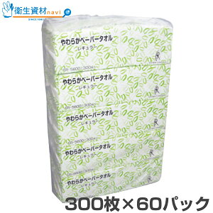 FR-5600 炩y[p[^I Ŕ^Cv M[TCY(300×60pbN)