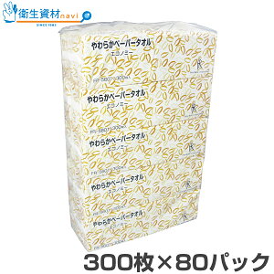 FR-5601 炩y[p[^I Ŕ^Cv GRm~[TCY(300×80pbN)