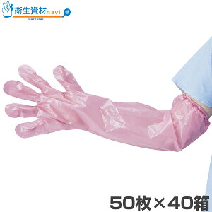 1510~^O|G`V 60cm sN t[TCY LPEP-FVi50×40j[ ĝ p ĝĎ |G` Hi G{X |G` O[u Hiq