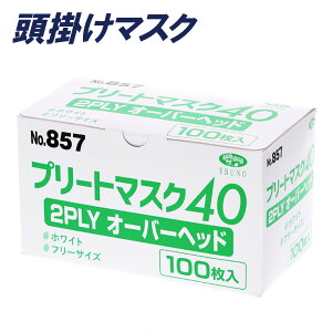 Gum |}XN I[o[wbh v[g}XN40 No.857 2PLY 1(100)