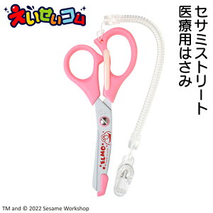 ZT~Xg[g ×p ͂ G sN ST-US0001 { ([)