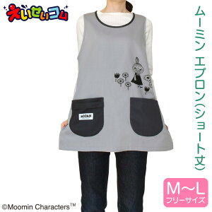 [~ Gv (J^Cv) ۈm LN^[ g~C V[g O[ l m ^I|t [ t[TCY ObY  d