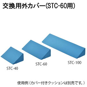 AY irX ̈ʌŒNbV STC-60pJo[ (8-8680-11)