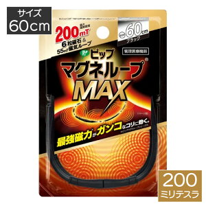 sbv }Ol[v MAX ubN 60cm PML319  R C  [