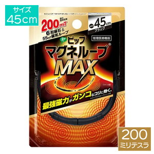 sbv }Ol[v MAX ubN 45cm PML338  R C  [ 69-2990-31