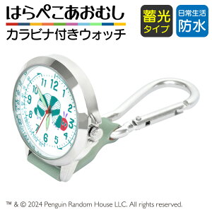 ZgfBX GbNJ[ ͂؂ނ Z[WO[ i[XEHb` Jrit ST-TSEC0002 [  1Nԕۏ؏t LN^[ 킢 Ōw