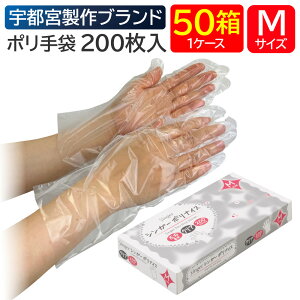 y50ZbgzFs{ VK[|iCX NA 200 MTCY  ĝ ze Xg rbtF oCLO