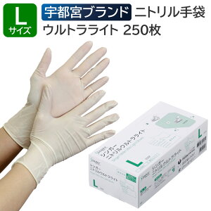 Fs{ VK[jgEgCg Ȃ LTCY 250 zCg jg Ep ĝ Hiq@K