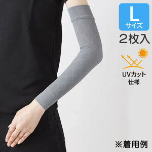 {fBJ eX[u ㈳^CvErp O[ LTCY 1(2{) 8-6587-04 ×p eX[u [