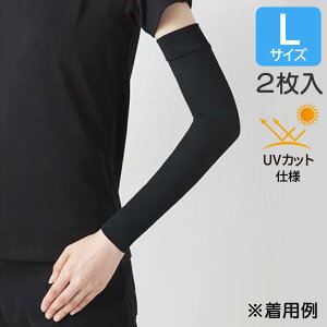 {fBJ eX[u ㈳^CvErp  LTCY 1(2{) 8-6588-04 ×p eX[u [