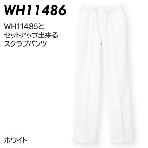 d WHISeL jppc WH11486B zCg SS-4L