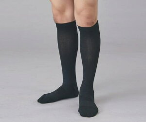 hN^[p\bNX ƃ\[Vjp 27-29CM  (8-6585-02)F372-227-28-90