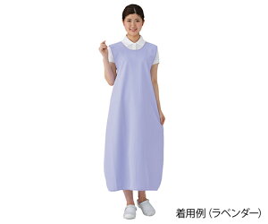 AY irX yʃXgb`hGv x_[ (7-3078-02)