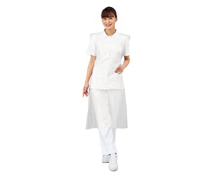 AY irX vVFAƖpGv  100×10 (7-6263-01)