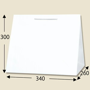 HEIKO  T^`[obO W3 Nn 10 003160800@wCR[ VW}