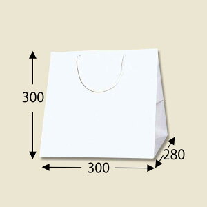 HEIKO ���� �u���C�g�o�b�O C0 ���@10���� 006459400