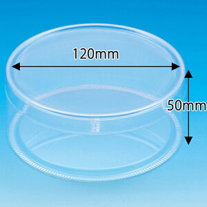 HEIKO NX^{bNX X^_[h^Cv PET~P[X 120×50 12 006854250 VW}