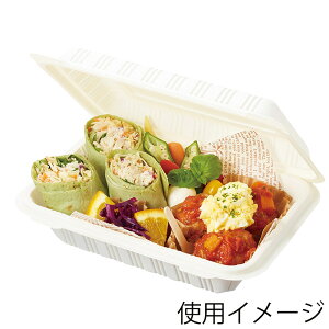 ٓe R[X^[`pbN IDFP-50 50 004409001