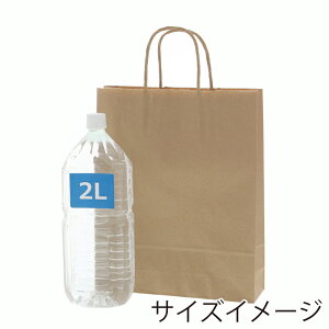 HEIKO ���� 25�`���[���o�b�O MS1 ���N���n 50���� 003276300�i��270×�}�`80×��340mm�j