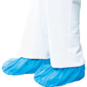 T V[YJo[ ĝ t[TCY 50 (51101)