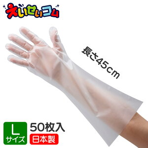 pbN |G` O LTCY ĝ 50 NA { Ep EȂ ܖ{i  HiH H{ HX 