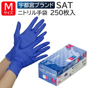 Fs{ VK[jg SAT Ȃ MTCY 250 u[ jg Ep ĝ Hiq@K