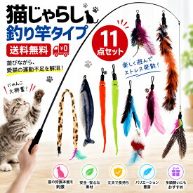 猫じゃらし 11点セット 猫おもちゃ ねこじゃらし 猫 ねこ ネコ おもちゃ 釣り竿 猫用おもちゃ ペットグッズ 羽根 鈴 伸びる しなやか 運