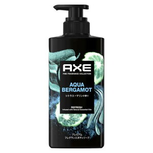 AXE(AbNX) v~AtOX ANAxKbg jp(Y) {fB[\[v { 440g