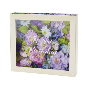 TI o[Xf[J[h t[{bNXu[ O[eBOJ[h BD178-3 SANRIO 981044