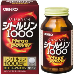 Iq Vg MegaPower1000 240 AMj 
