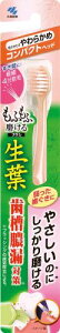 t(傤悤) ӂӖuV uV RpNgwbh 炩 1{ ^R΍
