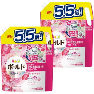 {[h ܂Ƃߔ[e]  t v~AubT lߑւ 2,200g×2