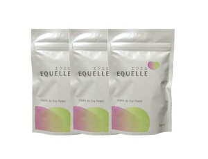 EQUELLE ː GNG pE`^Cv 1203܃Zbg