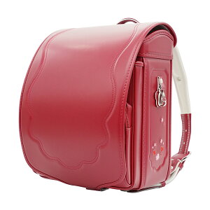 hZ ̎q lC@킢 EISHINiĐLj ZVA cecillia N[m y y 6Nԕۏ CbN l[sN tH[}bh XJCu[ CgCG[ AC{[ tB