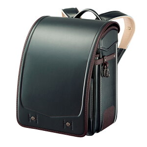 hZ j̎q lC  EISHINiĐLj [X^C N[m y y 6Nԕۏ  ubN }u[ O[ L O[W tBbg