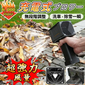 yX[p[SALEԌ6,000~N[|z2025N x64 u[ V^ pro ԃu[ [d  ^  ԕ΍ 59200mWh |   hЃObY ~jWFbgt@ \ 莝u[ 