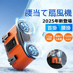 |@ xgt@ d|t@ |[^ut@ @\ 񂩂  | nYt[ 2in1[dE12000mAh p[oN  o10iK ╗ ^ pt U