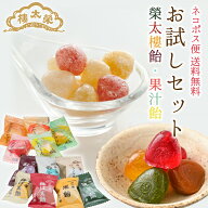 【送料無料】榮太樓飴 果汁飴 12種24粒 お試しセット【楽天ランキング1位】 1000円ポッキリ 買い回り DM…