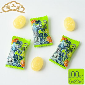 榮太樓 酸ぃ〜くわーさー 塩飴 100g 約22粒 榮太樓總本鋪 塩あめ シークワーサー 業務用 熱中症 塩分補給 お中元 残暑見舞い 敬老 七五三 おしゃれ あんこ ギフト 老舗 高級 和菓子 お取り寄せ 贅沢スイーツ 暑中見舞い 常温 手土産 プレゼント 人気 健康 内祝い