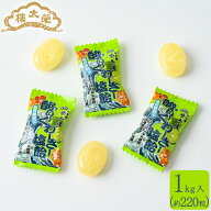 【季節限定】榮太樓 酸ぃ〜くわーさー 塩飴 1kg 約220粒 榮太樓總本鋪 大容量 たっぷり 塩あめ シークワ…