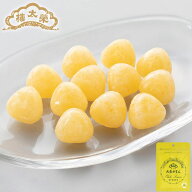 果汁飴 小袋入 大長れもん 1袋（50g） 榮太樓總本鋪 母の日 父の日 和菓子 ギフト おしゃれ 手土産 あん…