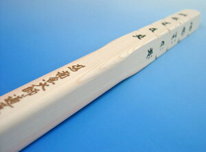 �l���\�Ђ̂�������@�ʎ�S�o����