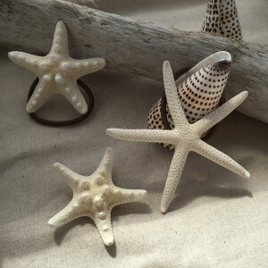 ē A qgf X^[tBbV VF wAS eq  R[f yAbN wbh ANZT[  LbY qp Lk Mtg v[g